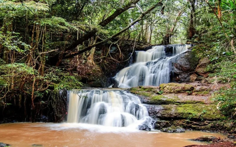 karura-natural-river (1)