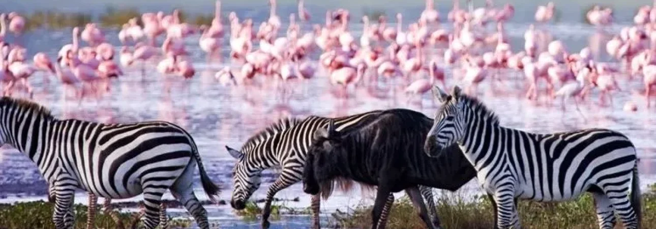 lake-nakuru-national-park
