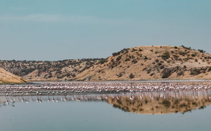 magadi (4)