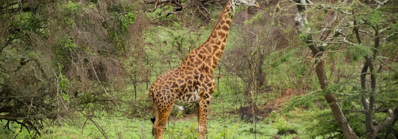 Rwanda Destinations