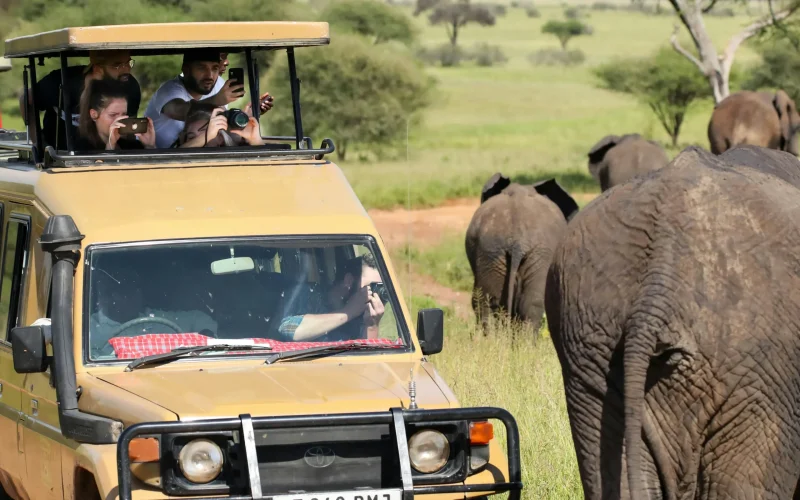 While never guaranteed, this specific route visits the areas where lions, leopards, elephants, buffalo, and rhino are most commonly found.