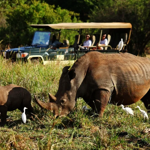 7-Day Samburu & Masai Mara Luxury Fly Inn Safari