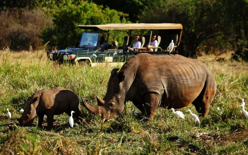 7-Day Samburu & Masai Mara Luxury Fly Inn Safari