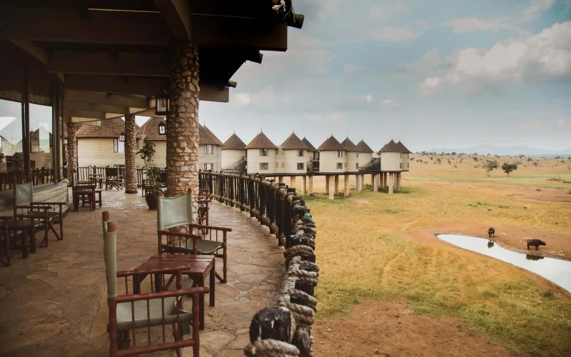 3-Day Taita Hills & Salt Lick Extended Safari