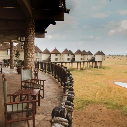 3-Day Taita Hills & Salt Lick Extended Safari