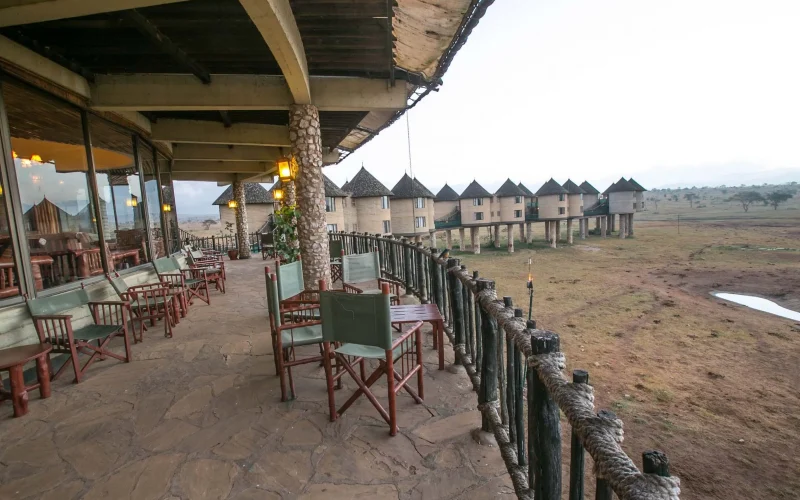 2-Day Taita Hills & Salt Lick Safari (From Mombasa or Diani)