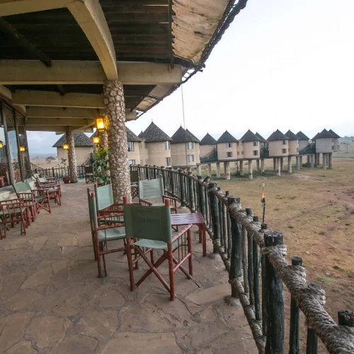 2-Day Taita Hills & Salt Lick Safari (From Mombasa or Diani)
