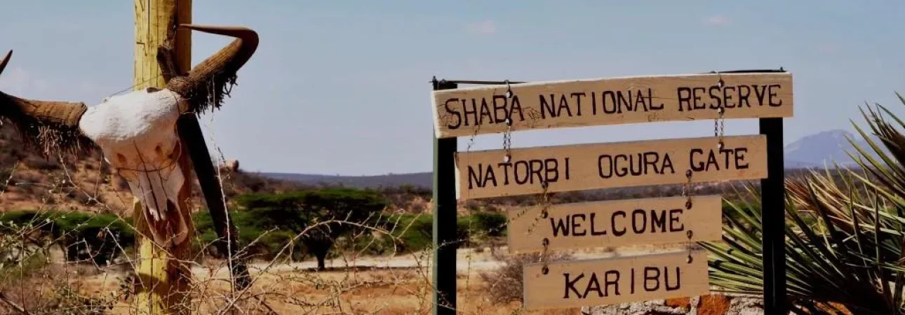 shaba (2)
