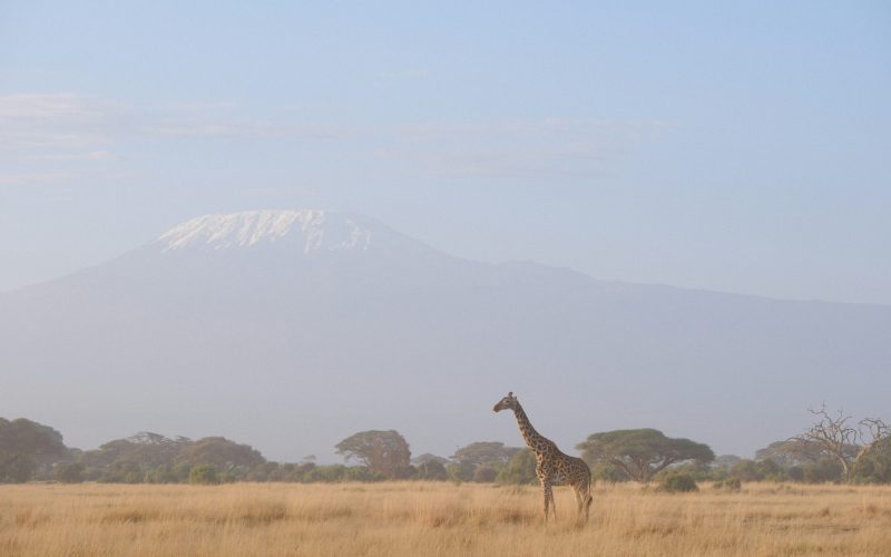3 Days Safari Amboseli National Park with Mount Kilimanjaro