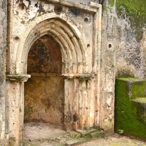 1-Day Gede Ruins and Arabuko-Sokoke Forest Experience