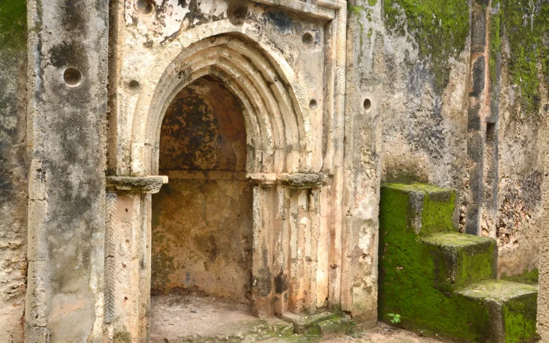 1-Day Gede Ruins and Arabuko-Sokoke Forest Experience