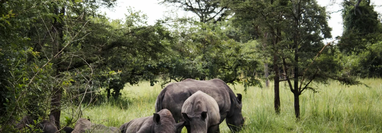 Uganda Destinations
