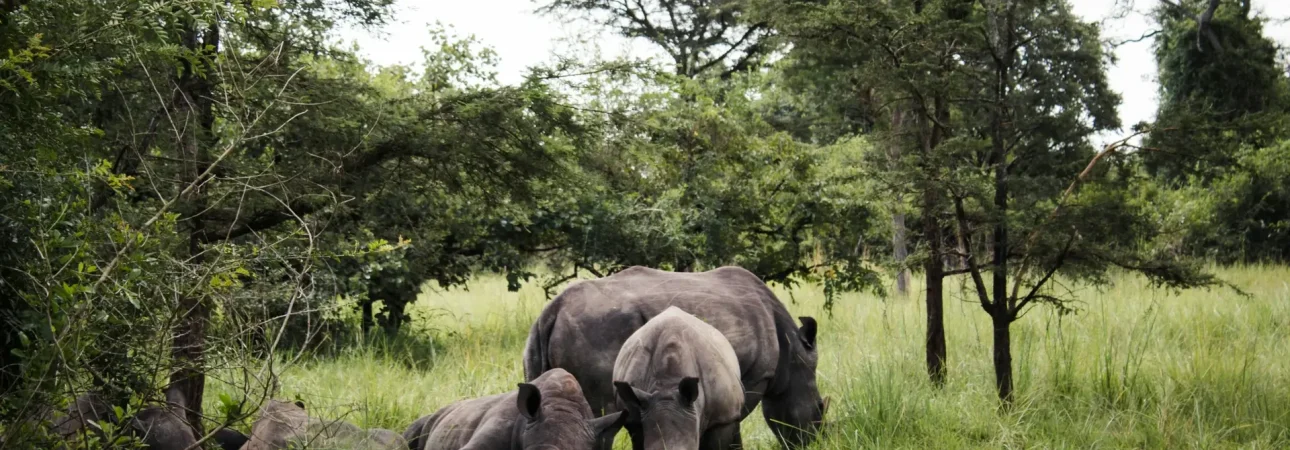 Uganda Destinations