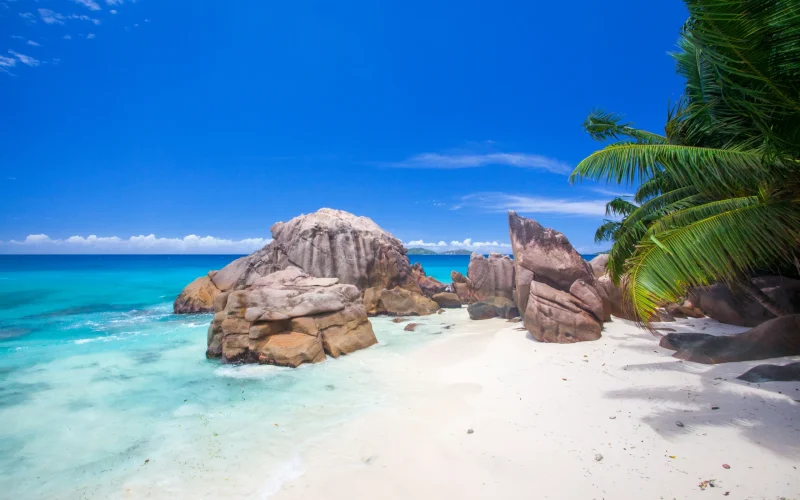 6-Day Seychelles Mahe Honeymoon Holiday