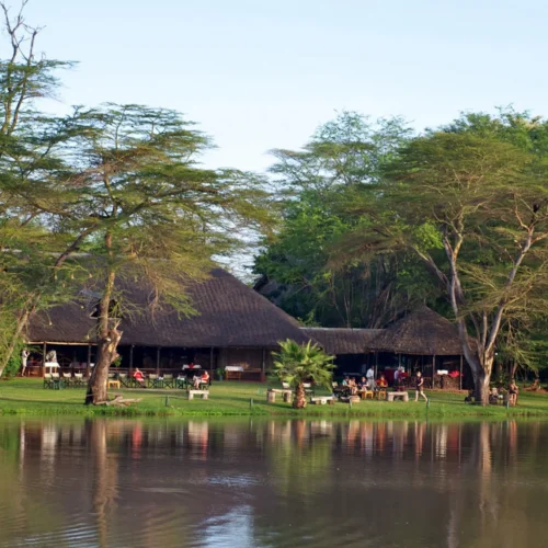Voyager Ziwani Tented Camp