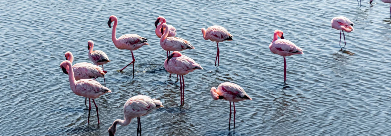 walvis-bay-namibia-april-16-2024