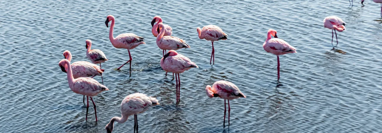 walvis-bay-namibia-april-16-2024